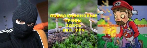 ГАЛЛЮЦИНОГЕННЫЕ ГРИБЫ Кукмор