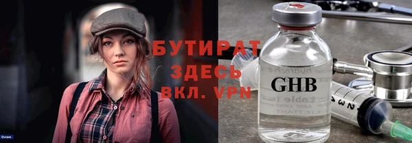 индика Кулебаки
