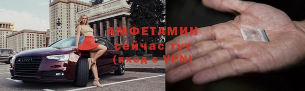 индика Кулебаки