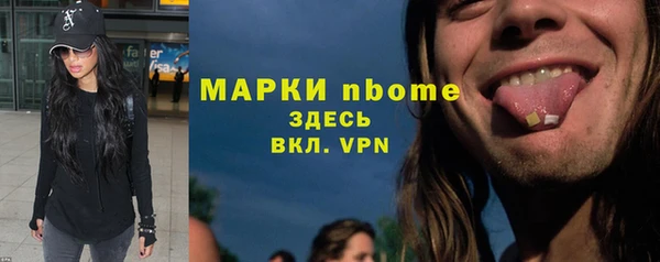 индика Кулебаки