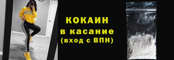 ГАЛЛЮЦИНОГЕННЫЕ ГРИБЫ Кукмор