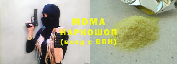 индика Кулебаки