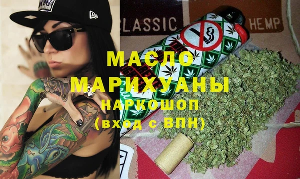 индика Кулебаки